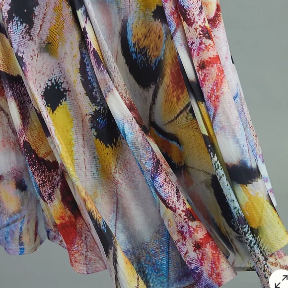 Anthropologie A-Line Neutral Motif Midi Skirt Size 2 - Picture 8 of 13